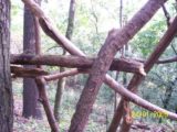 Bitva v lese 2006 (27/76)