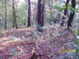 Bitva v lese 2006 (69/76)